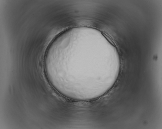 X0000094360241200711241943