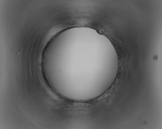 X0000094360242200711241943