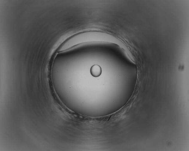 X0000094360244200711241943