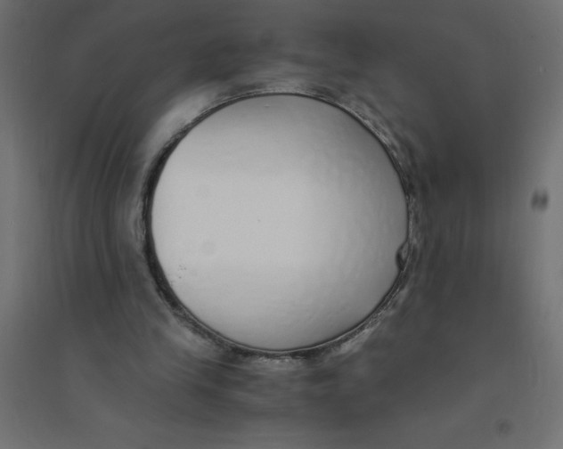 X0000094360245200711241943