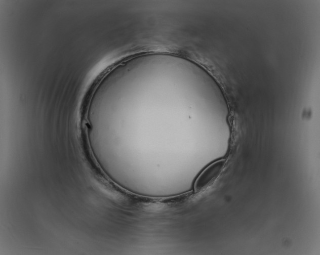 X0000094360246200711241943