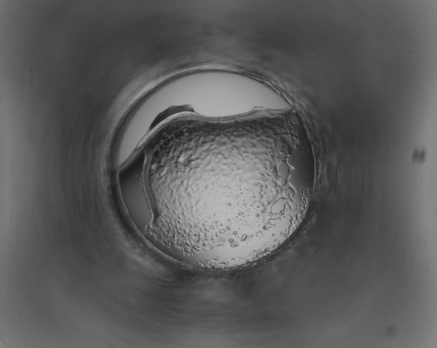 X0000094360247200711241943