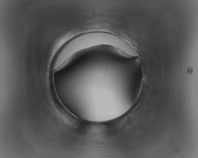 X0000094360248200711241943