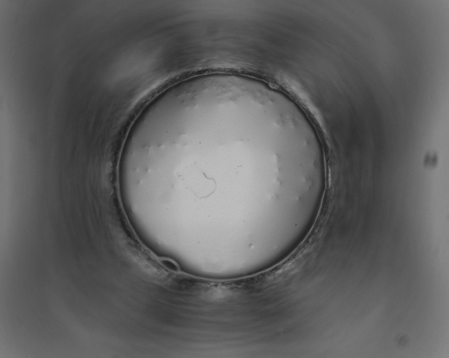 X0000094360249200711241943