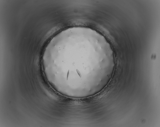 X0000094360250200711241943
