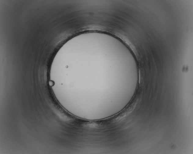 X0000094360253200711241943