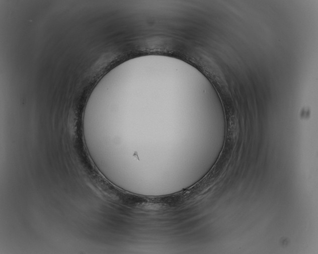 X0000094360255200711241943