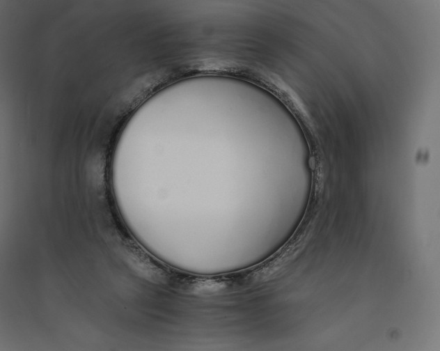 X0000094360257200711241943