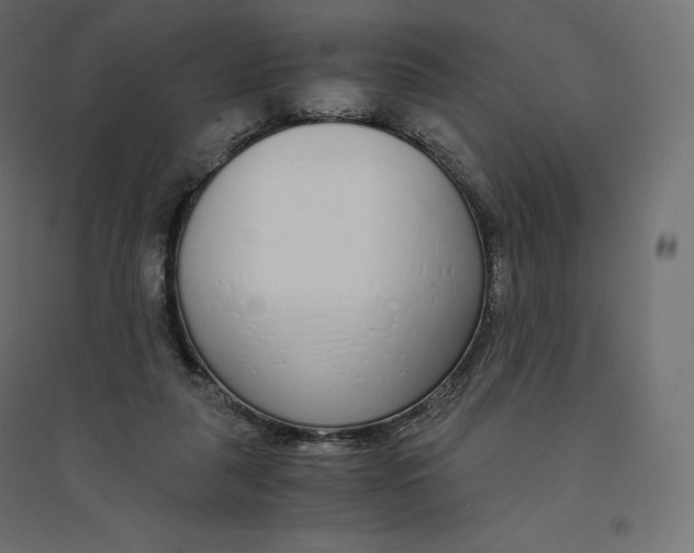 X0000094360259200711241943