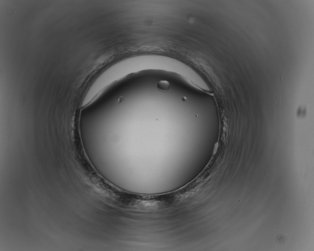 X0000094360260200711241943
