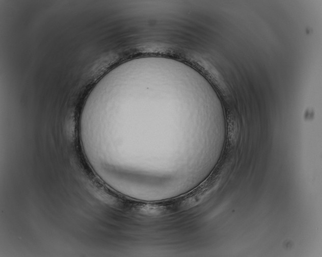 X0000094360261200711241943