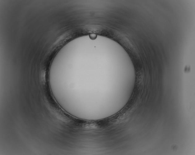 X0000094360262200711241943