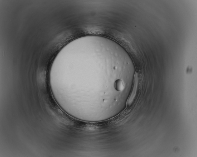 X0000094360263200711241943