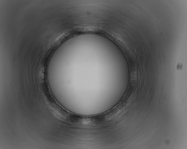 X0000094360264200711241943