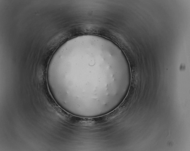 X0000094360266200711241943