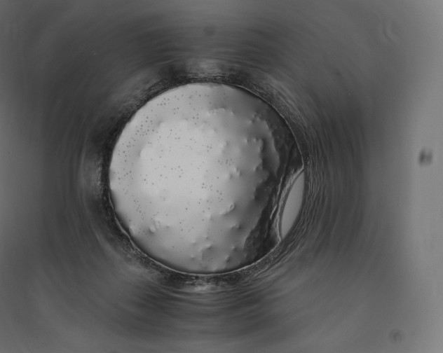 X0000094360267200711241943