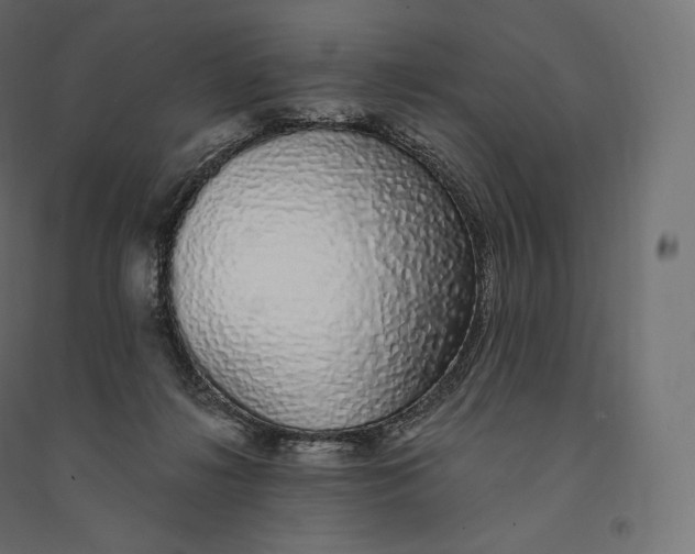X0000094360268200711241944