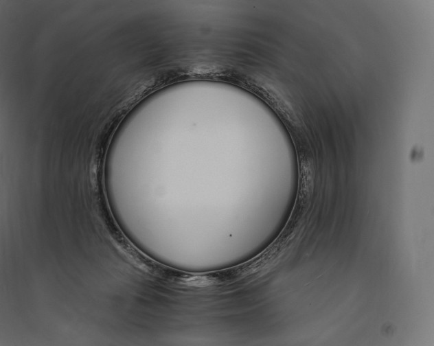 X0000094360269200711241944
