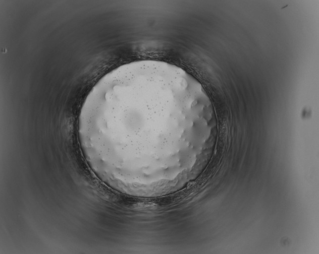 X0000094360271200711241944