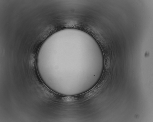 X0000094360273200711241944