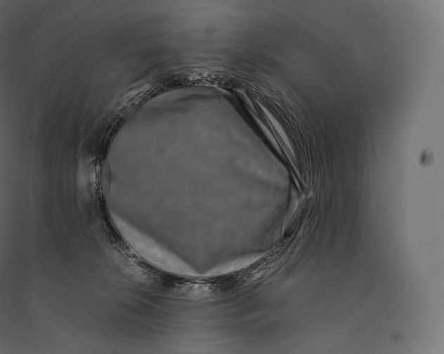 X0000094360276200711241944