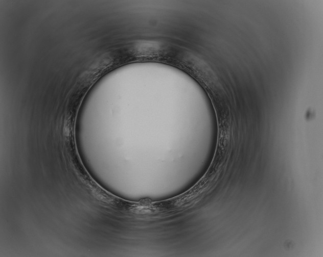 X0000094360277200711241944