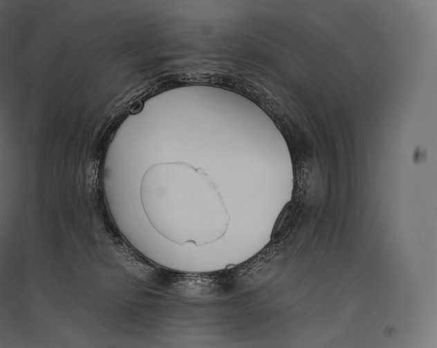 X0000094360278200711241944