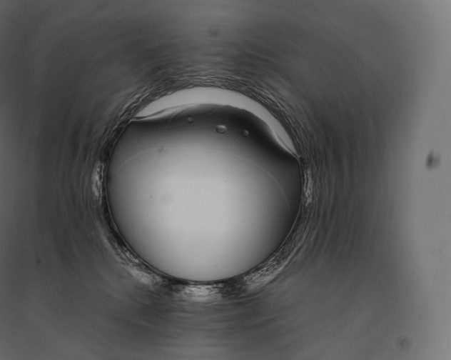 X0000094360280200711241944