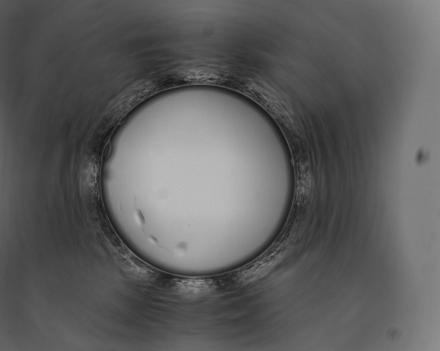 X0000094360281200711241944