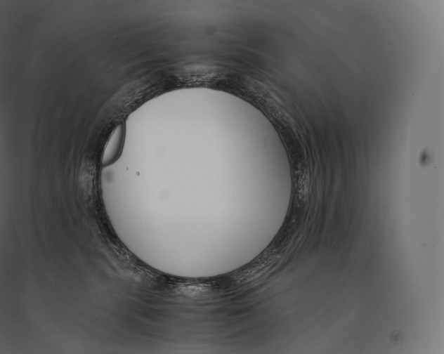 X0000094360283200711241944