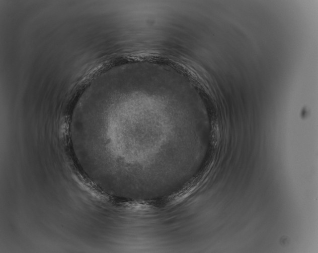 X0000094360284200711241944
