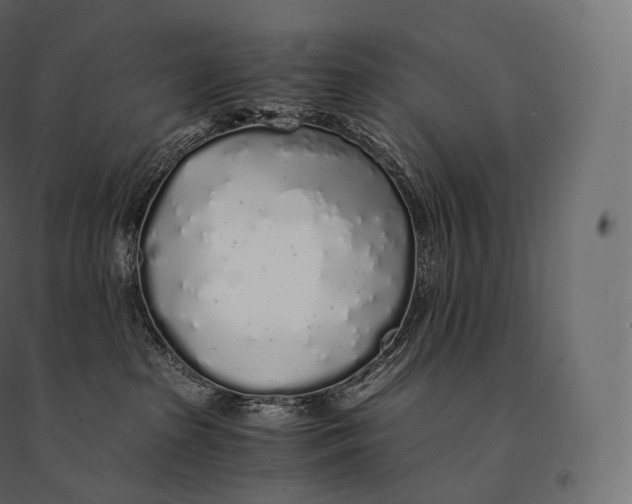 X0000094360285200711241944