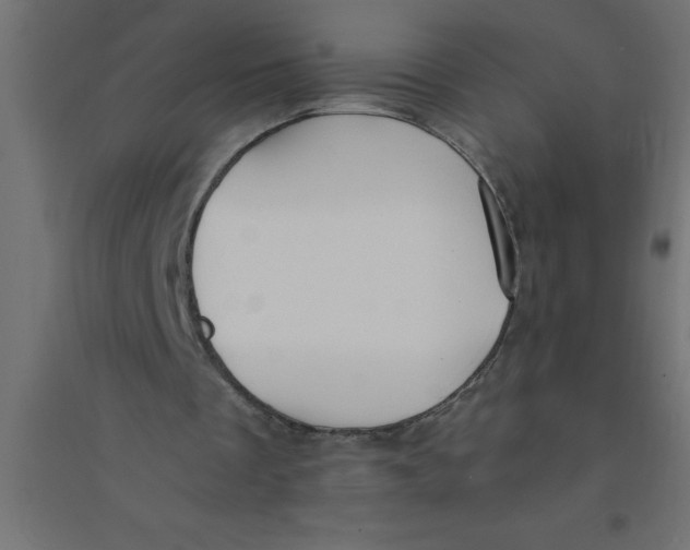 X0000094360289200711241943