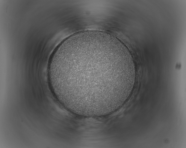 X0000094360290200711241943