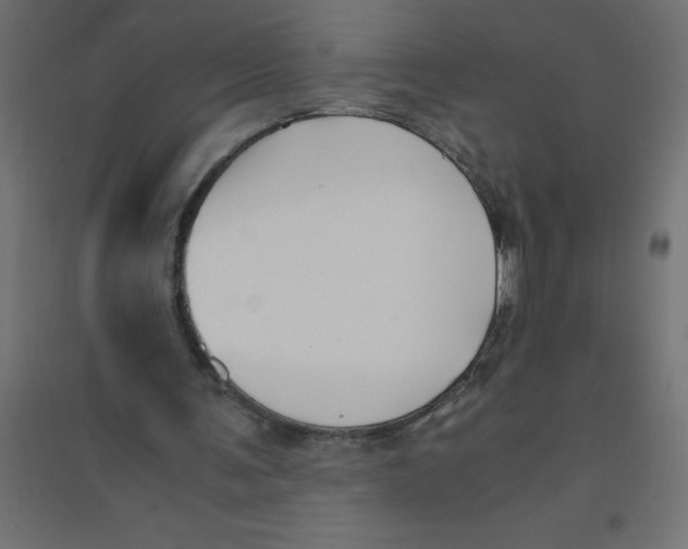 X0000094360291200711241943