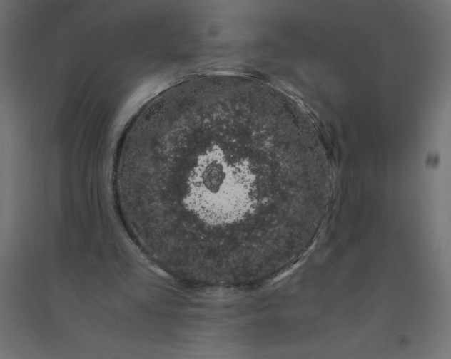 X0000094360293200711241943