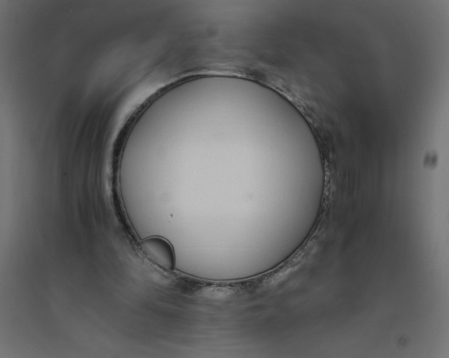 X0000094360294200711241943