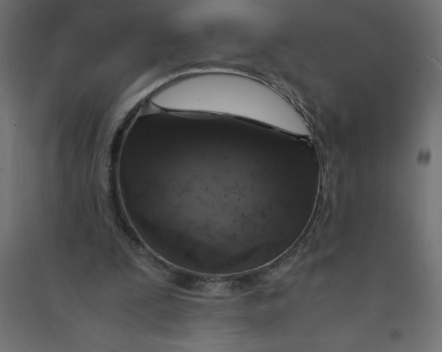 X0000094360295200711241943
