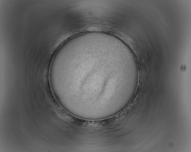 X0000094360297200711241943