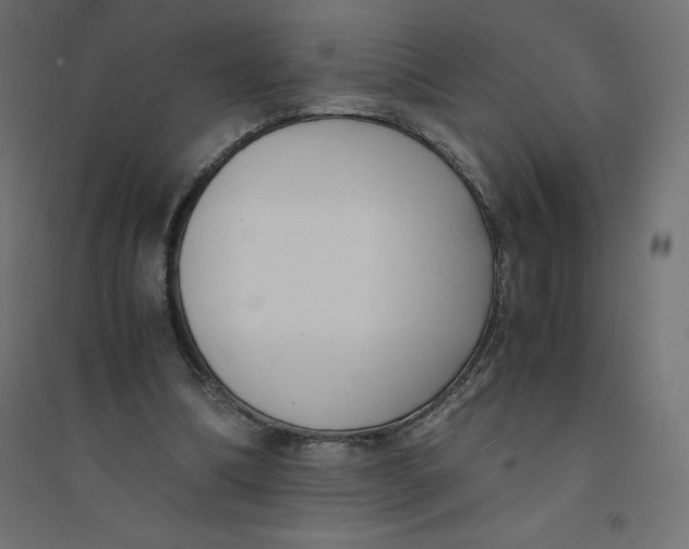 X0000094360298200711241943