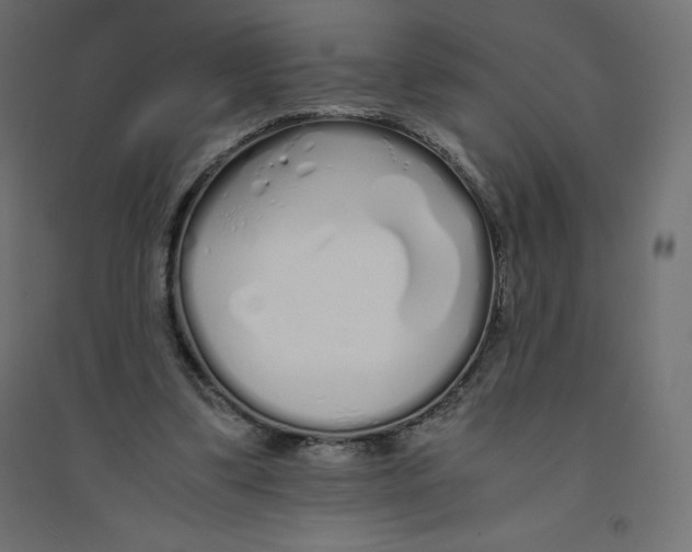 X0000094360299200711241943
