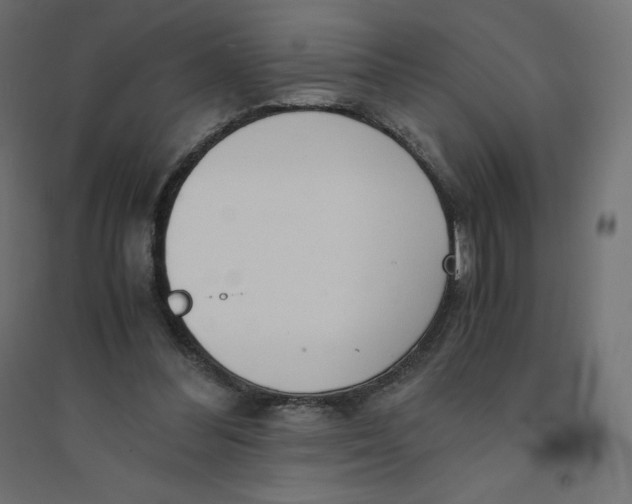 X0000094360300200711241943