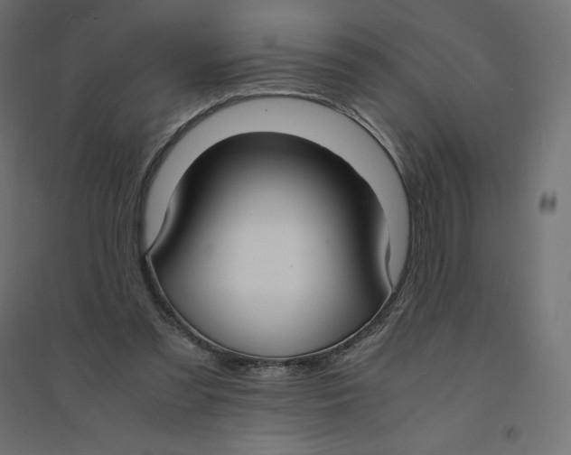 X0000094360301200711241943