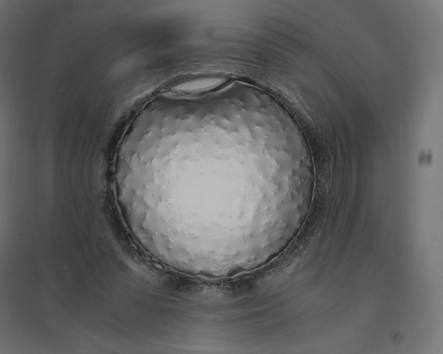 X0000094360303200711241943
