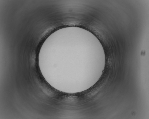 X0000094360304200711241943
