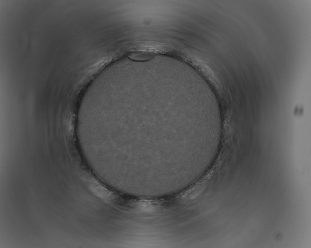 X0000094360305200711241943