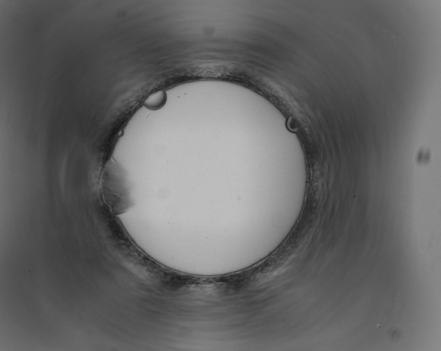 X0000094360307200711241943