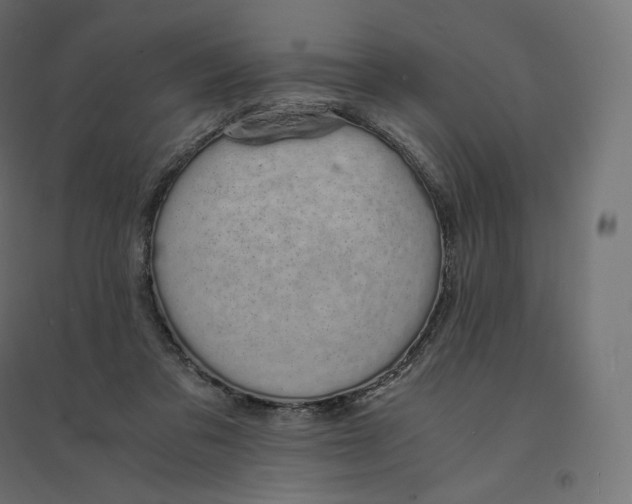 X0000094360309200711241943