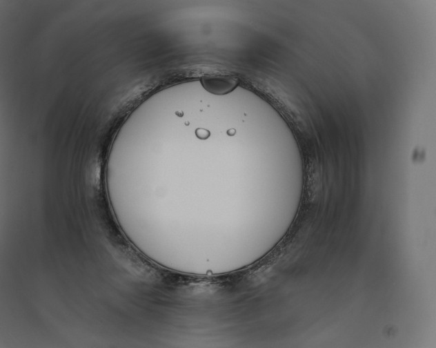 X0000094360310200711241943