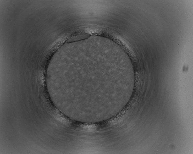 X0000094360313200711241943